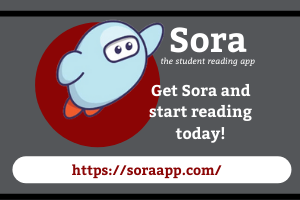 Sora App